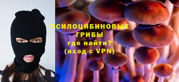 мдпв Лабытнанги