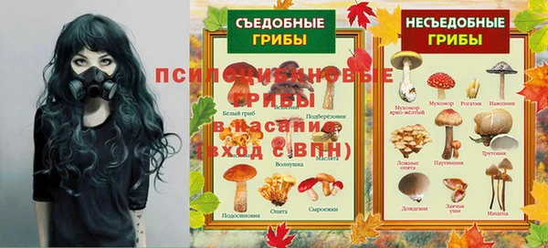 крисы Ладушкин