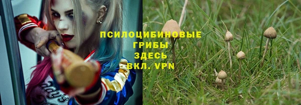 мдпв Лабытнанги