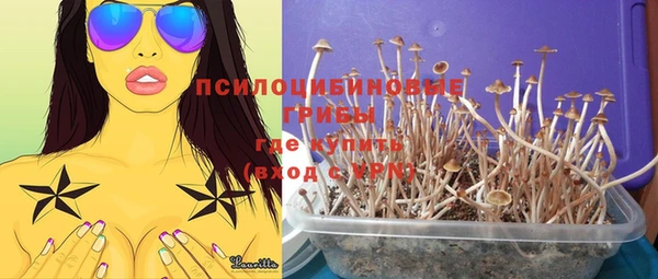 крисы Ладушкин