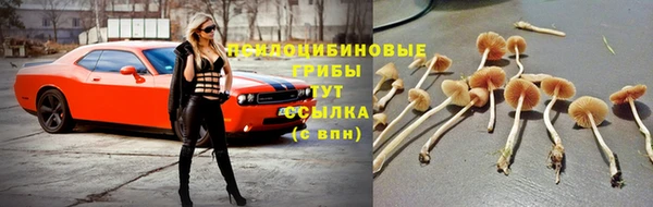 крисы Ладушкин