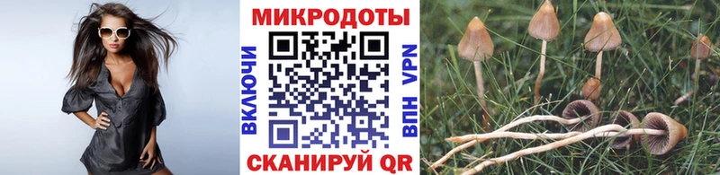 наркотики  Яранск  Псилоцибиновые грибы прущие грибы 